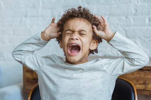 Aperçu de Thermomètre de la Colère : Signaux et Stratégies par Niveau